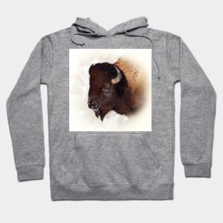 Bison Hoodie